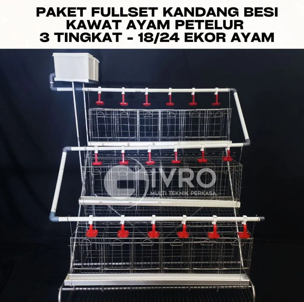 Paket Fullset Kandang Besi Kawat Ayam Petelur Lengkap – Tersedia Berbagai Model dan Kapasitas