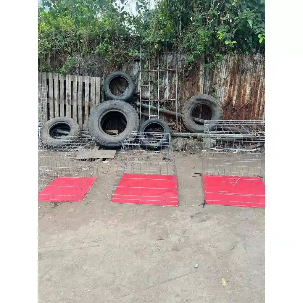 pabrik kandang umbaran trapesium kotak